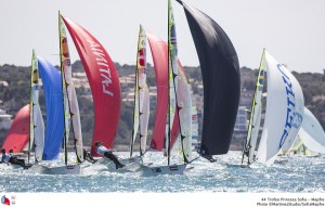 Big Gold Fleets and Great Conditions in Palma