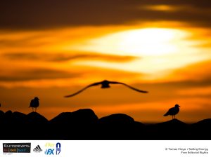 Weather Forecast for Day 4 – First Day of Gold Fleet